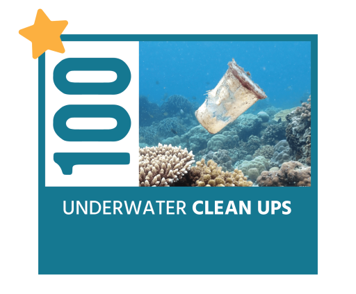 underwater clean-ups