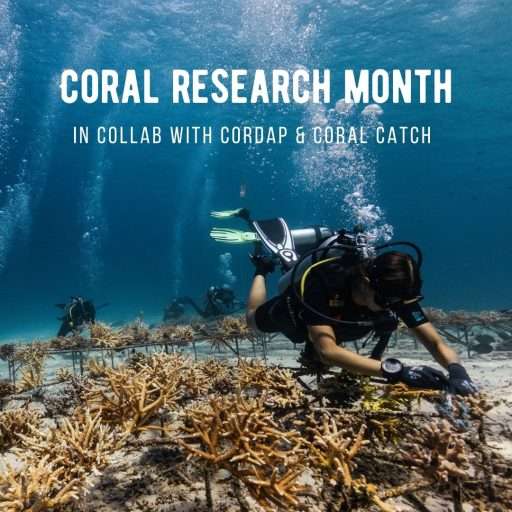Coral Restoration Program Gili Air Indonesia